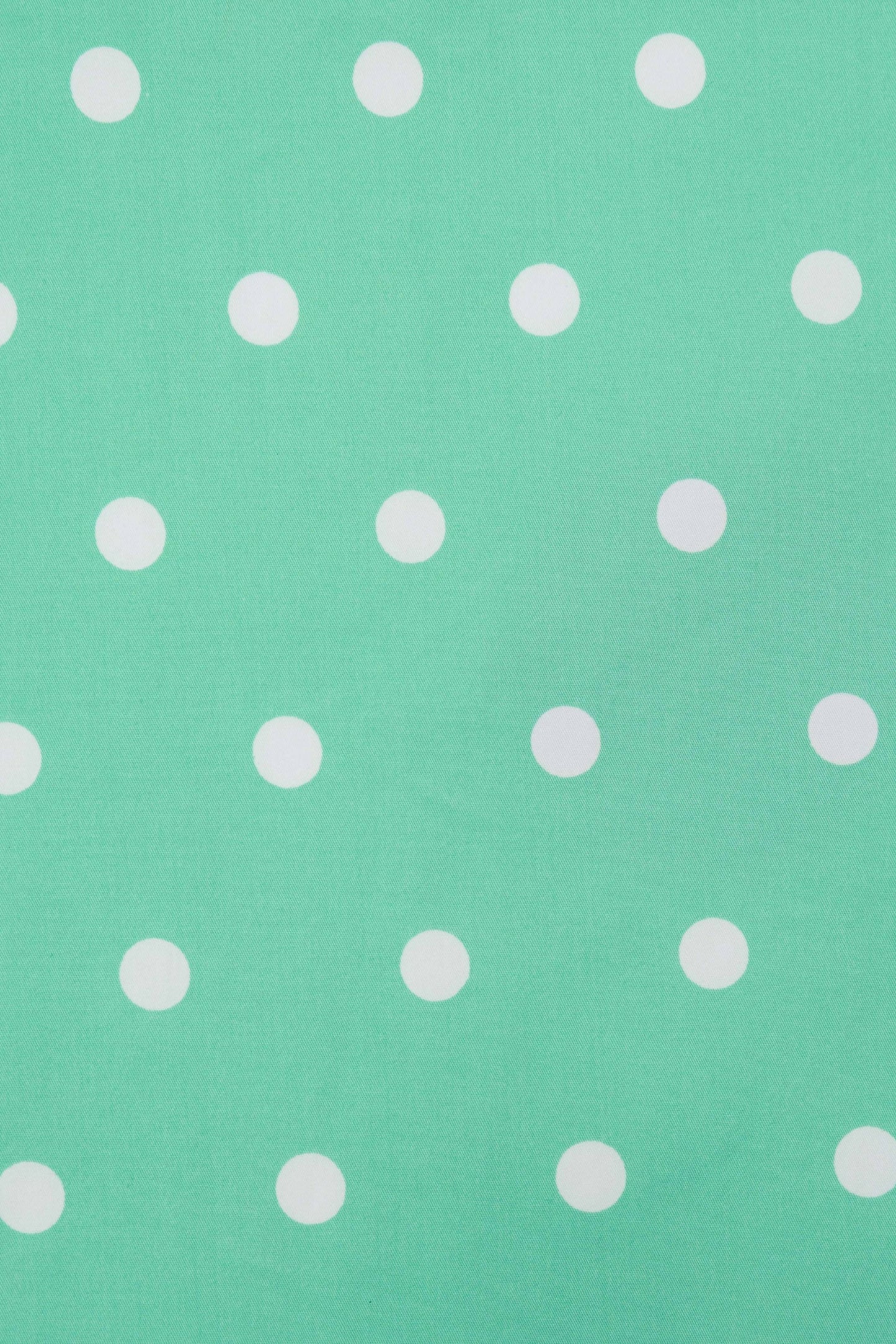 Amanda Scoop Neck Polka Dot Swing Dress in Mint and White