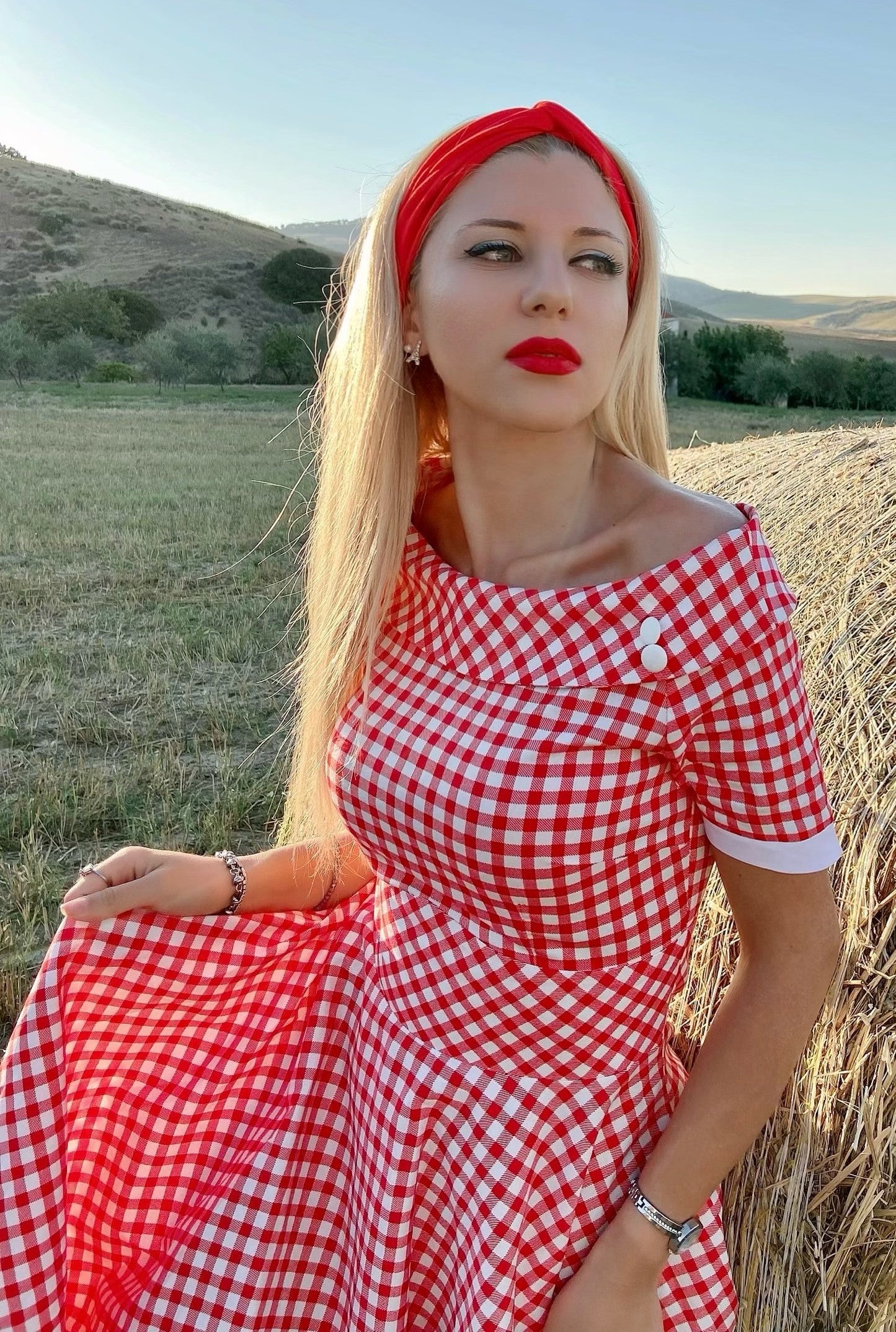 Darlene Retro Red Gingham Swing Dress
