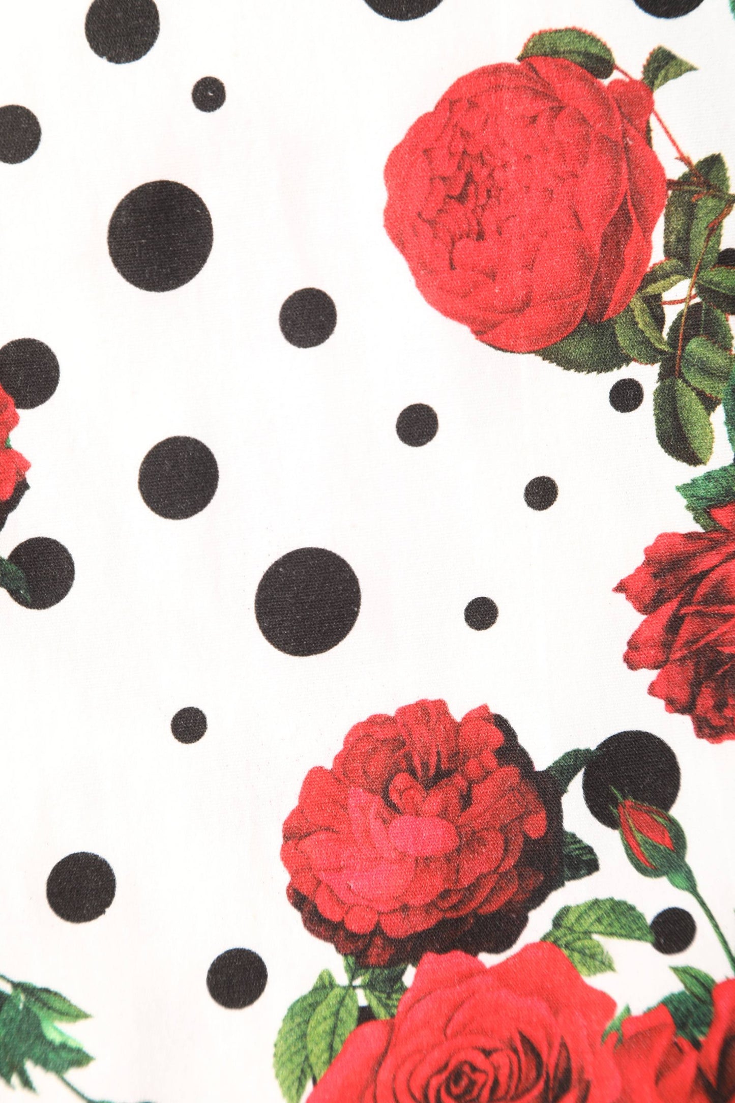 Judith Pleated Black Dress With Retro Roses & Spots
