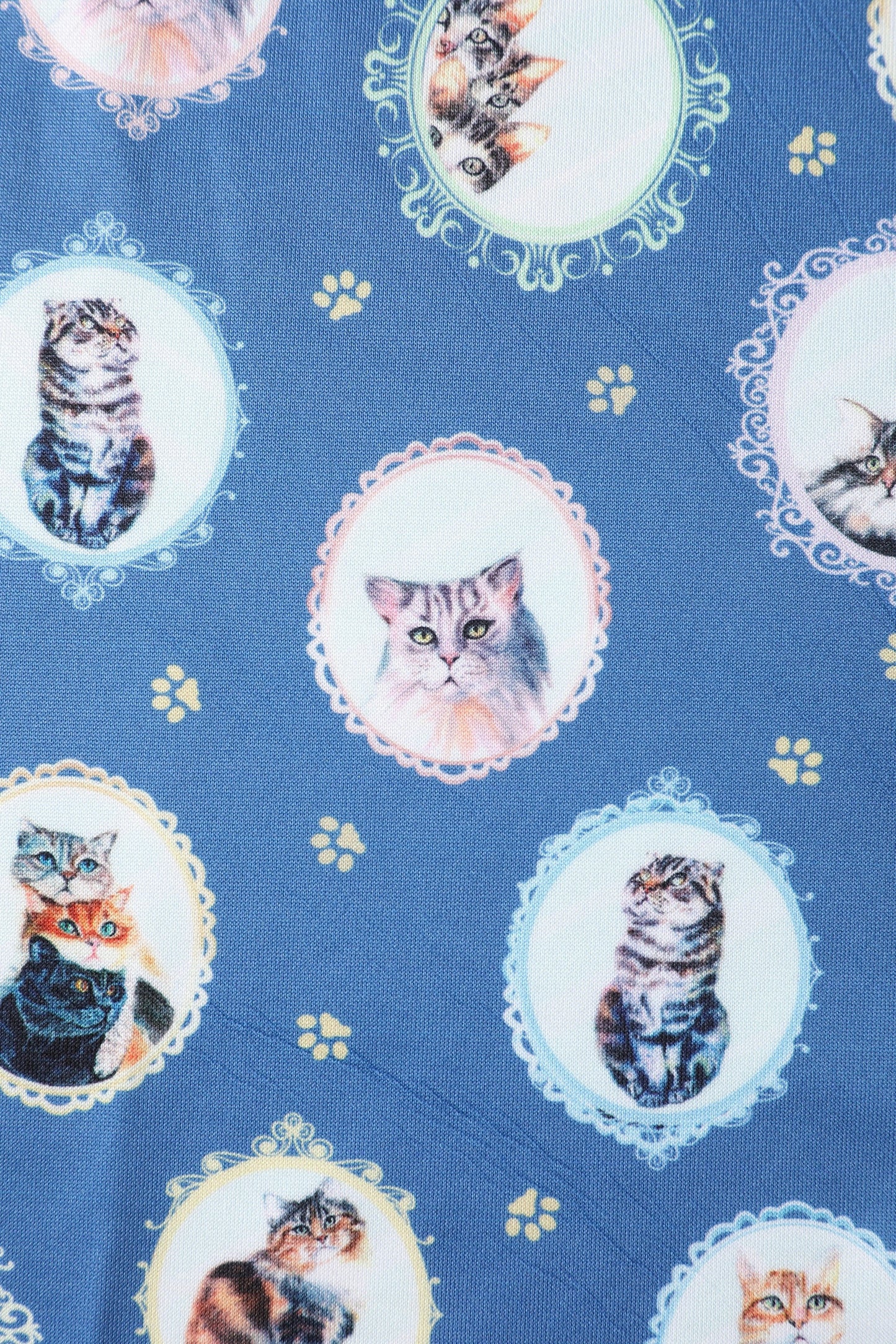 Amanda Blue Cat In The Mirror Swing Dress
