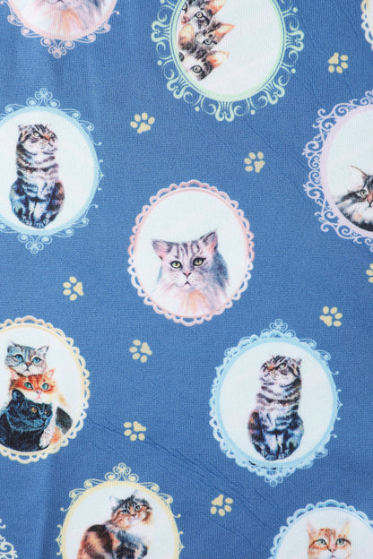 Amanda Blue Cat In The Mirror Swing Dress