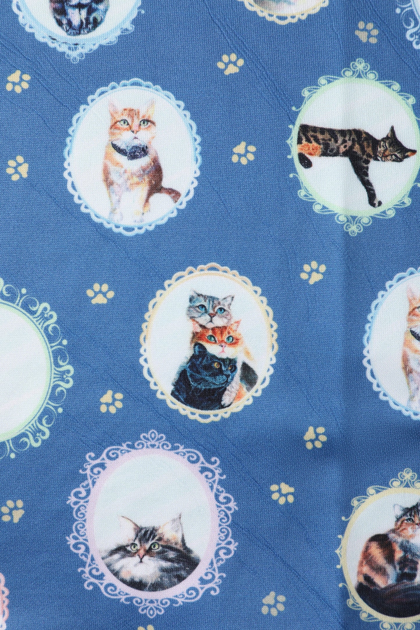Amanda Blue Cat In The Mirror Swing Dress