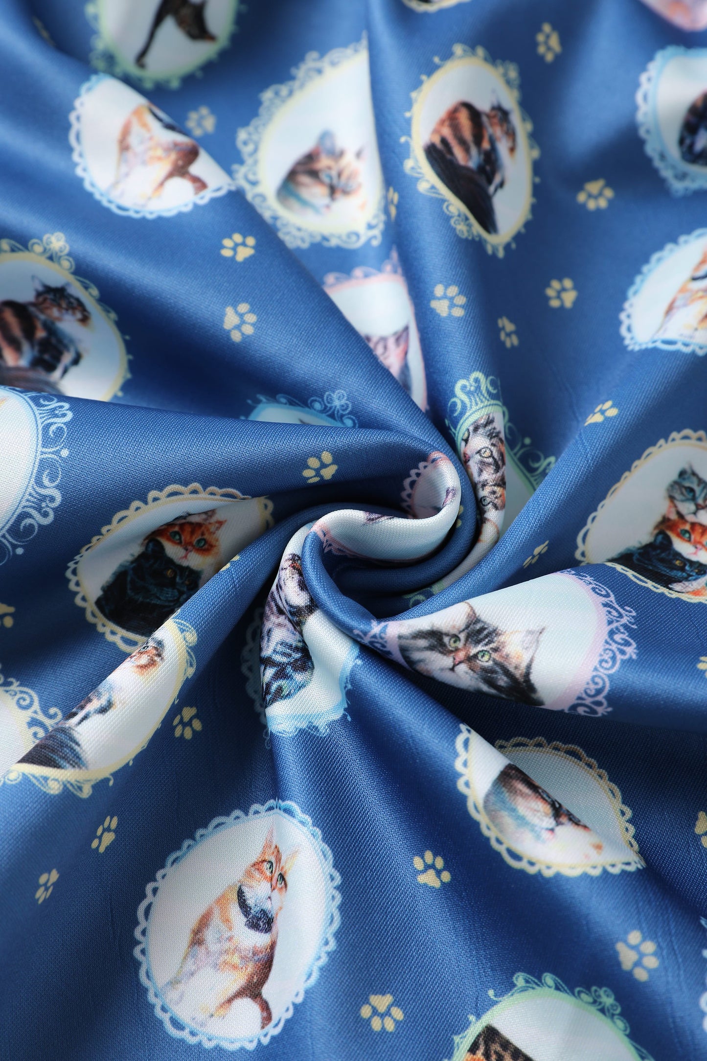 Amanda Blue Cat In The Mirror Swing Dress