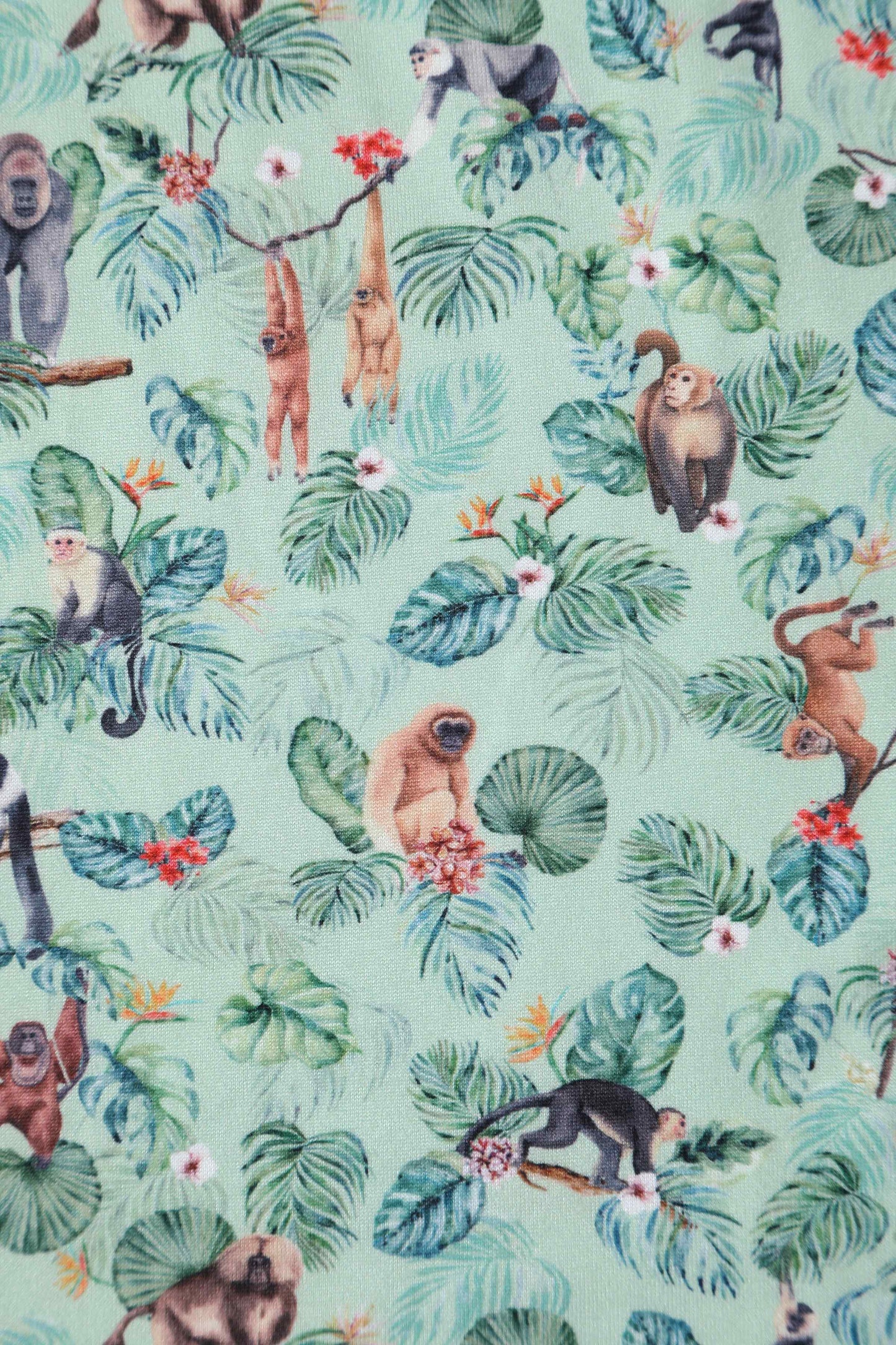 Billie Monkey Green Long Sleeved Dress