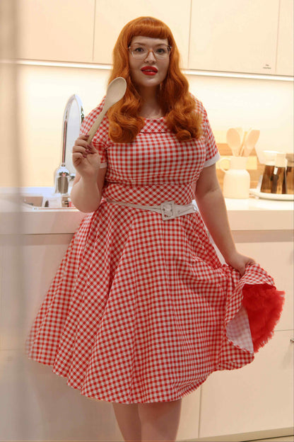 Darlene Retro Red Gingham Swing Dress