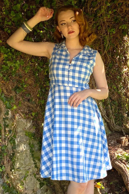 Poppy Gingham 1950s Shirt Dress in Blue/White